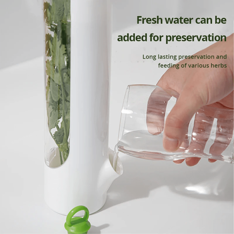 Herb and Vegetable Preserving Bottle – Airtight Fresh Storage for Kitchen Use - One Stop Shop